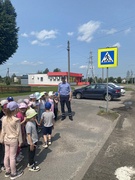 "Красный свет-дороги нет!"
