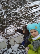 Удзел у акцыі "Пакарміць птушак"