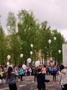 В школе прошла патриотическая акция "Белые журавли"