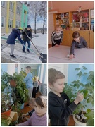 Трудовой рейд "Чистота-залог здоровья"