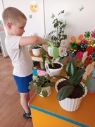 Уголок природы