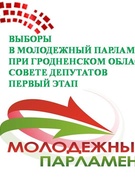 I этап выборов нового состава депутатов районного Молодёжного парламента