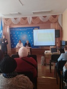 Профилактика деструктивных явлений в среде несовершеннолетних