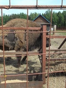 Экскурсия в "Станьково", центр экологического туризма.