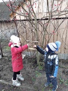 Акция "Покормим птиц"