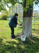 Акции
