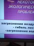 Презентация «Как сберечь природу в век экологических проблем», 10.01