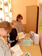 Информационный час "День Конституции Республики Беларусь"