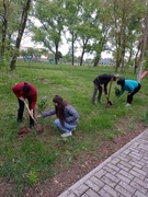 Суббота 28.05.2022 Акция "Посади дерево"