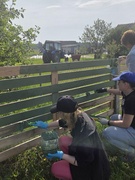 Санитарная пятница