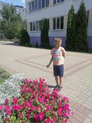 Зелёная аптека
