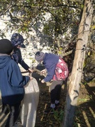 Акцыя "Добрае Сэрца"