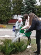 Благоустройство. Акция «Чистый двор»