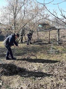Акция "Мы благодарны"