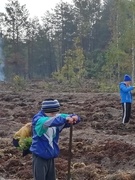 Помощь лесничеству в высадке леса 28.09.2019г.