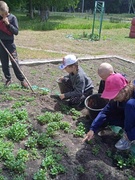 Отряд по озеленению и благоустройству школьной территории