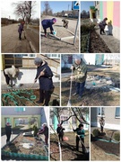 Областной субботник (22.03.2025)