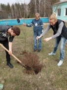 Трудовой десант "Посади дерево"