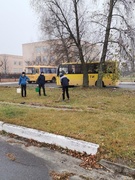 94 саженца сосенок и кленов посадили волонтеры отряда "Радуга добра" нашей школы