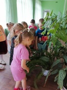 В нашем уголке природы есть красивые цветы, и в любое время года он - источник красоты.