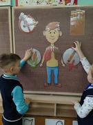 Урок здароўя «Беларусь супраць нікаціну»