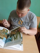 Про Беларусь