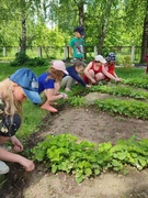 Акция «Чистый двор» (Оздоровительный лагерь, 07.06.2022)