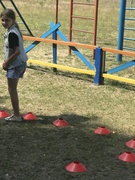 30.06