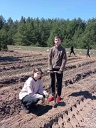 Посади своё дерево