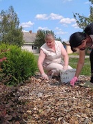 Санитарная пятница