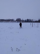 Лыжный марафон