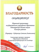 О результативности участия в проектах ОО "БРСМ"