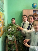 Акция  «Мы за чистоту!»