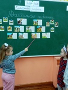 Шестой школьный день 09.11.2024