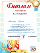 Дипломы 2023-2024 учебный год