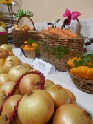 Выставка сельскохозяйственной продукции