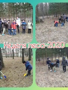 Неделя леса - 2020