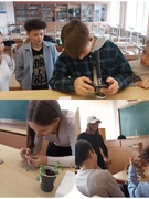 Объединение по интересам "Сообщество микробиологов". Шестой школьный день 24.02.2024