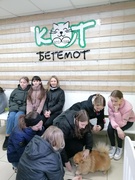 Семиклассники  посетили ветеринарную клинику «Кот Бегемот»