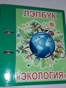 Работа с лэпбуком "Экология" , группа "Ромашки"