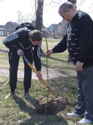 Акция "Посади дерево"