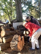 Районный субботник