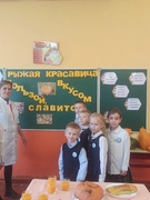Польза тыквы