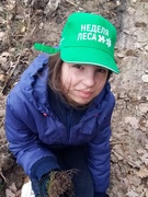 Участие в акции "Неделя леса 2021"