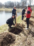 Посадка деревьев на Витьбе 09.04.2021