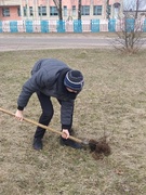 Пасадка алеі "Памяць ахвярам фашызму"