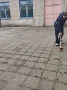 Трудовой проект 2025