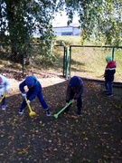 Осень. Сезонные изменения в природе