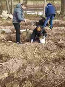 Акция «Дай лесу  новае жыццё!»