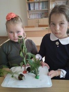 26 сентября